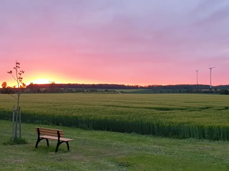 Zwemmen en water op Camping Paradies Franken in Simmershofen