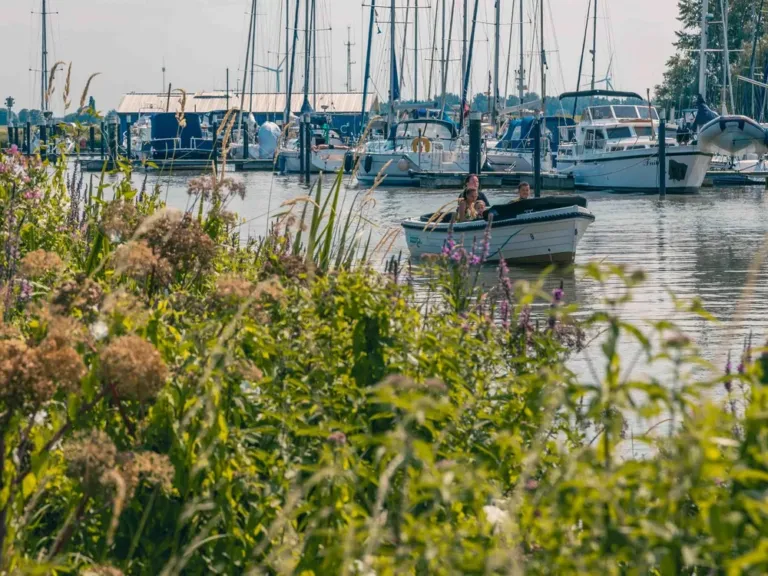 Spelen en activiteiten voor kinderen op EuroParcs De Biesbosch