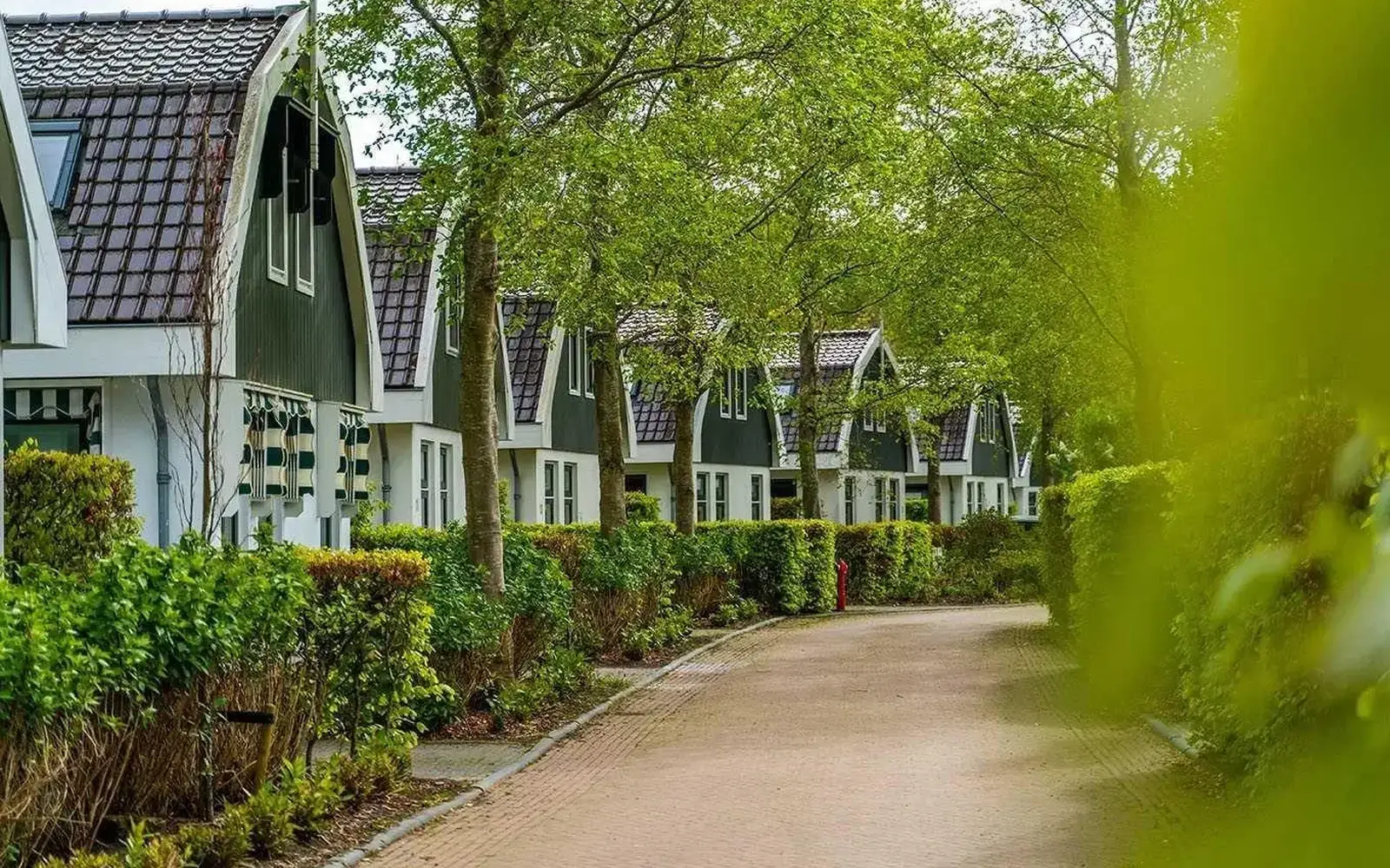 Kindvriendelijk vakantiepark EuroParcs Koningshof in Schoorl Kindvriendelijk vakantiepark EuroParcs Koningshof in Schoorl