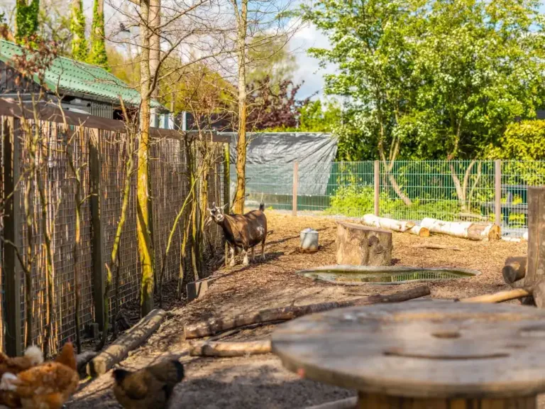 Spelen en activiteiten voor kinderen op EuroParcs Spaarnwoude