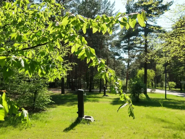Accommodatie op Familienpark Senftenberger See in Großkoschen
