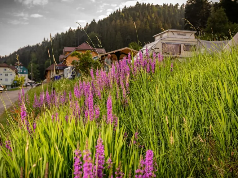 Accommodatie op Family-Resort Kleinenzhof in Bad Wildbad