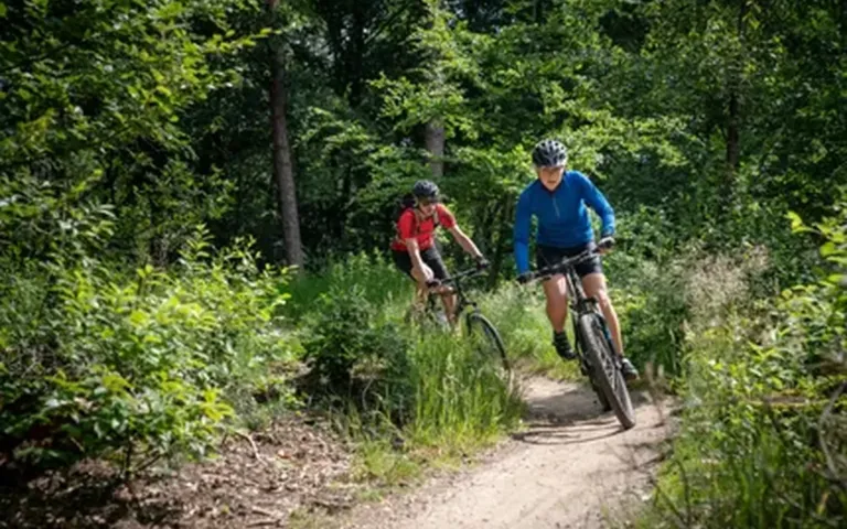 Kindvriendelijk vakantiepark in Utrecht, Nederland - Landal Amerongse Berg