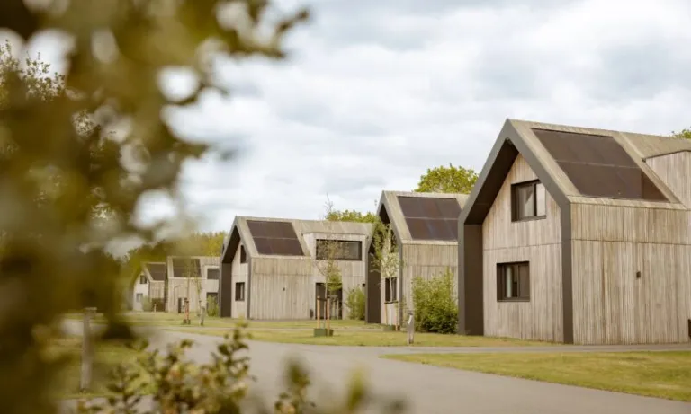 Rij moderne houten vakantievilla's met zonnepanelen op Landal Brinckerduyn in Appelscha
