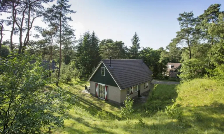 Vrijstaand vakantiehuis met rood-witte luiken op een glooiend grasveld tussen het bos op Landal Coldenhove