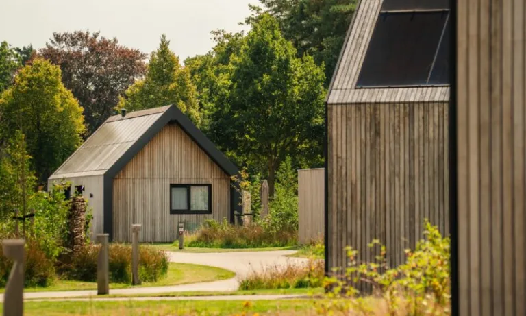 Twee moderne houten vakantievilla's langs een slingerend pad op Landal De Weelderik