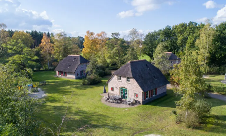 Luchtfoto van twee rietgedekte vakantiehuizen met terras en speeltoestel op Landal Het Land van Bartje