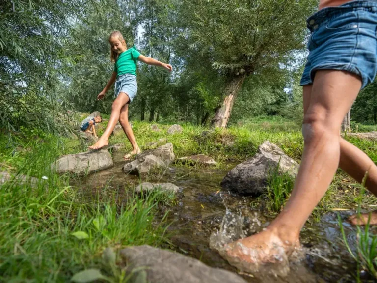 Zwemmen en water op Landal Klein Oisterwijk in Oisterwijk
