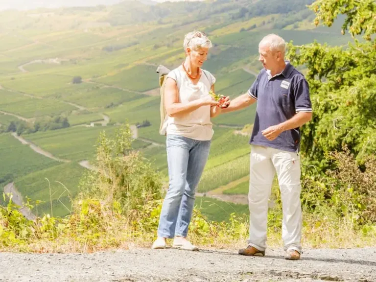 Zwemmen en water op Landal Sonnenberg in Leiwen