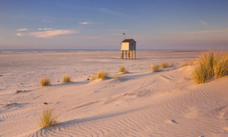 Breed zandstrand met duinen en helmgras bij Landal West Terschelling