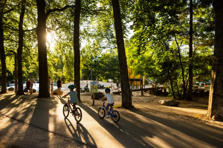 RCN het Grote Bos in de bossen van de Utrechtse Heuvelrug bij Doorn