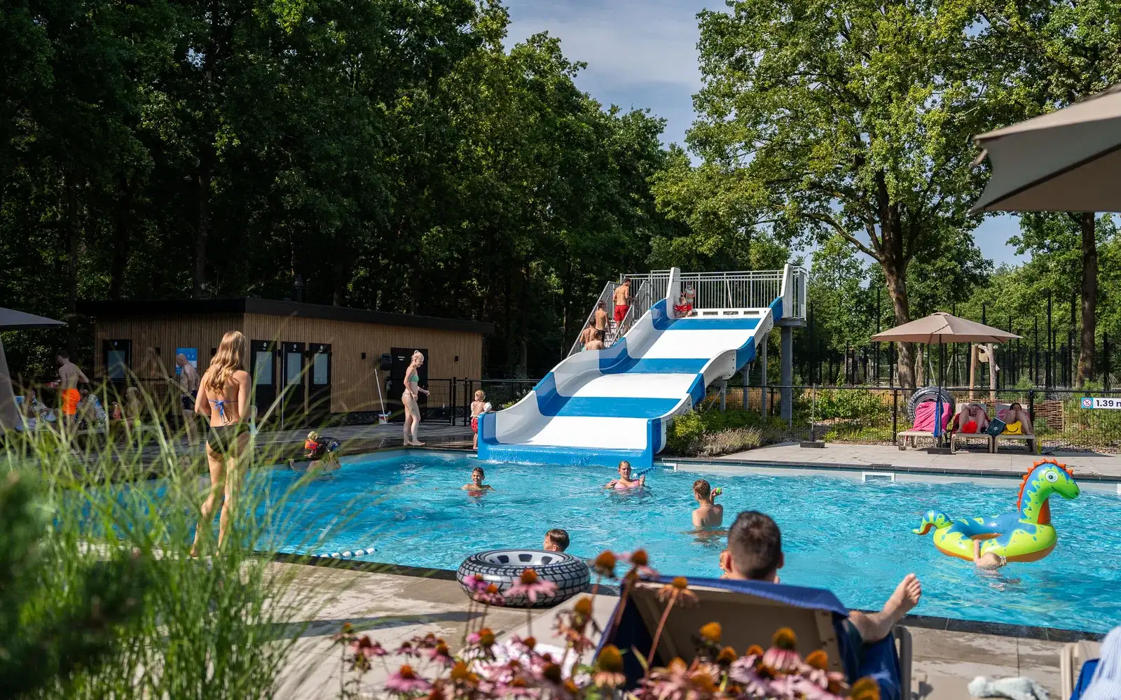Kindvriendelijk vakantiepark Resort de Brabantse Kempen in Lage Mierde Kindvriendelijk vakantiepark Resort de Brabantse Kempen in Lage Mierde