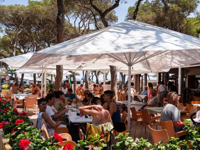 Accommodatie op Camping Alannia El Pinar in Blanes