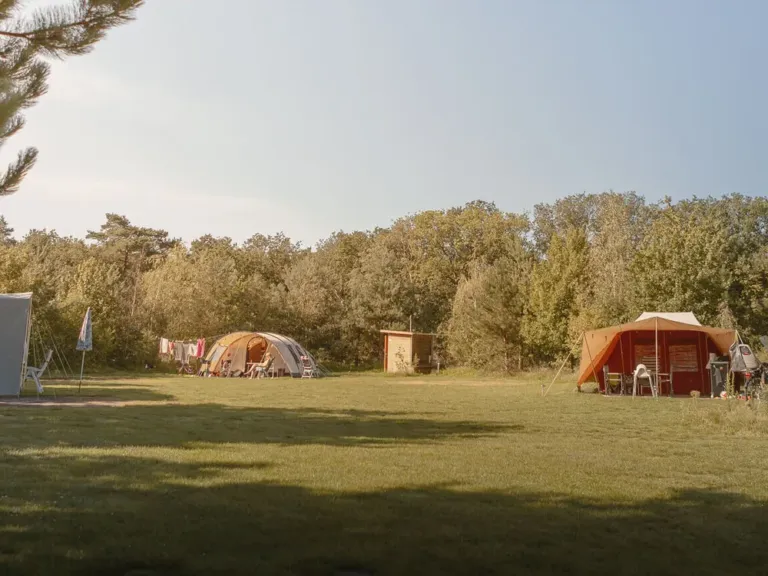Kampeerplek met heidezicht en privesanitair op Camping Lemeler Esch