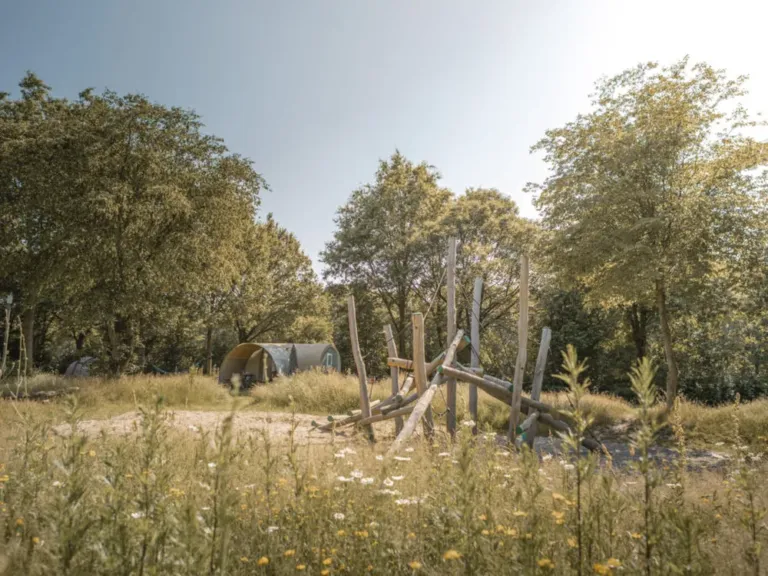 Zomerbeeld van Camping Lemeler Esch