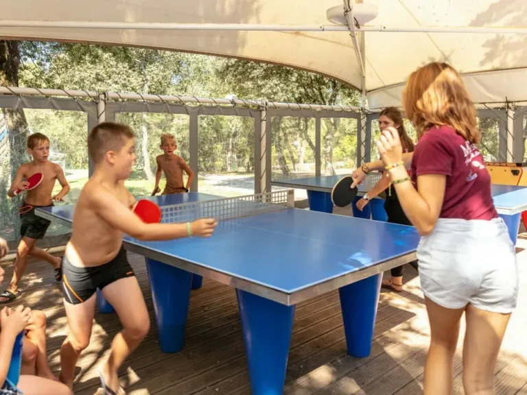 Tafeltennissen op camping Domaine Massereau