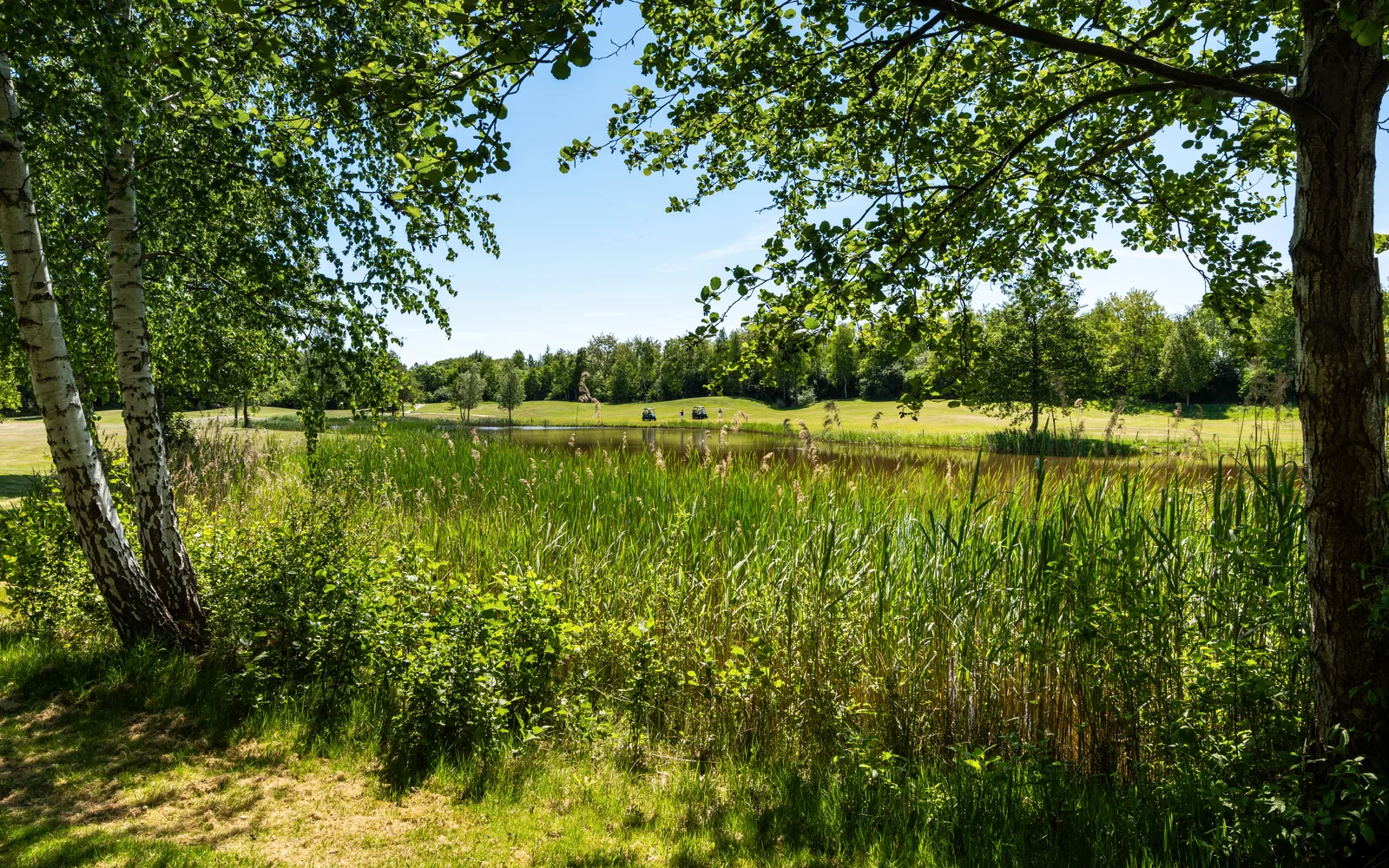 Buitenplaats de Hildenberg, park en omgeving bij Appelscha Buitenplaats de Hildenberg, park en omgeving bij Appelscha