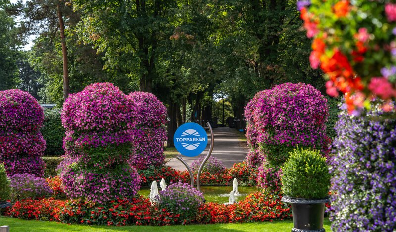 Landgoed de Scheleberg in Gelderland: kindvriendelijk vakantiepark, Nederland